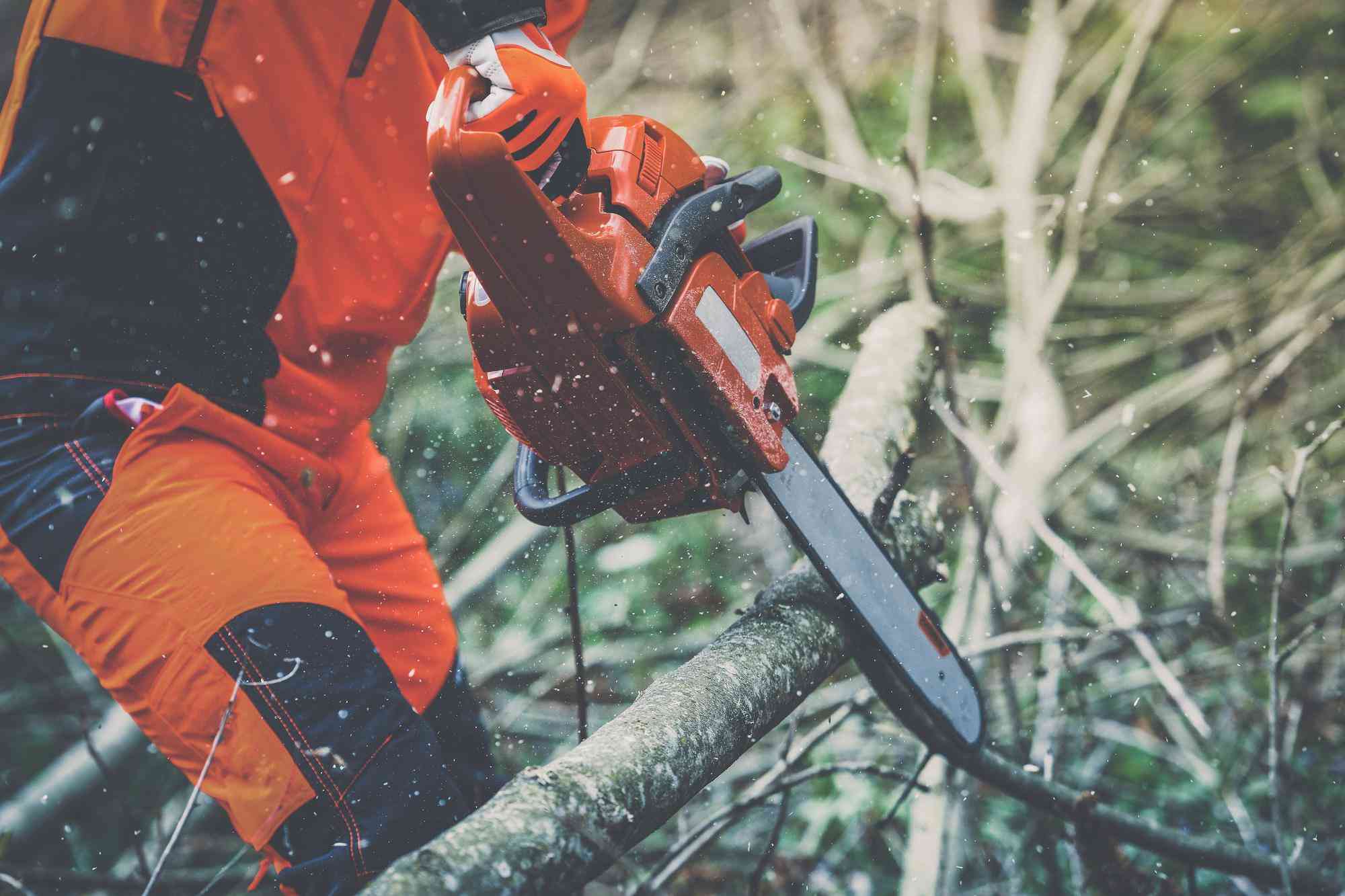 Tree Removal & Stump Grinding Services